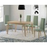 PACK MESA Y SILLAS MOD 304