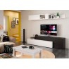 COMPOSICION AMBIENTE 662NEO