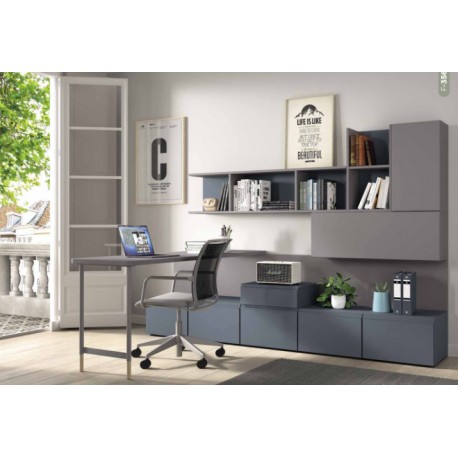 ESTUDIO chvs 356