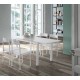 CONJUNTO MESA Y SILLAS