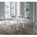 CONJUNTO MESA Y SILLAS